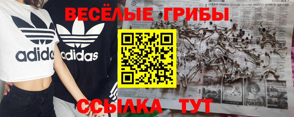 Югорск  Псилоцибиновые грибы Magic Shrooms  Вход с VPN  Галлюциногенные грибы ЛСД 